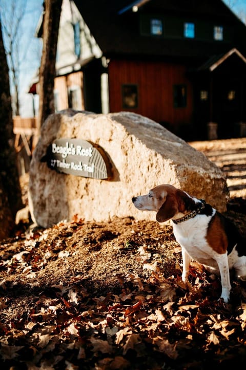 Beagles Rest at Eagles Nest House in Beech Mountain