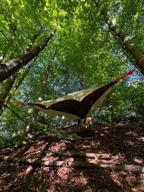 Baumzelt in idyllischer Lage Luxury tent in Bremen