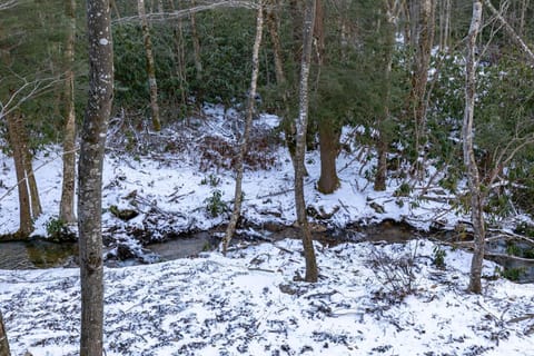 Little Creek Lodge at Eagles Nest House in Beech Mountain