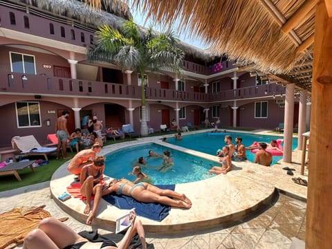 Day, People, Pool view, Swimming pool, group of guests, sunbed