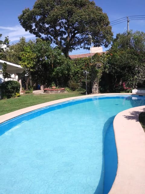 Garden, Swimming pool