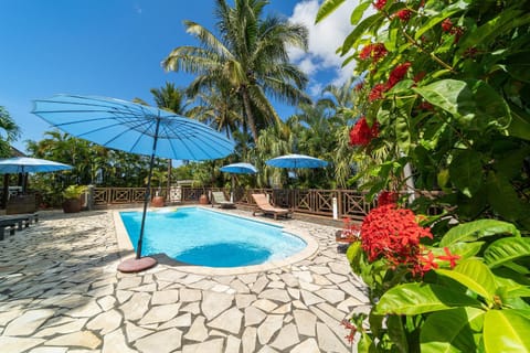 Patio, Day, Garden view, Pool view, Swimming pool, sunbed