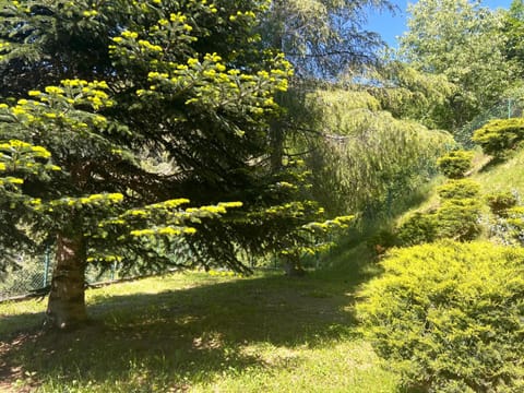 Spring, Day, Natural landscape, Garden, Garden, Garden view