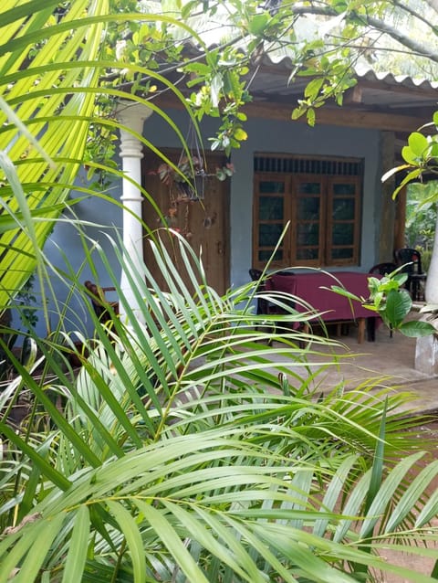 Property building, Day, Garden view