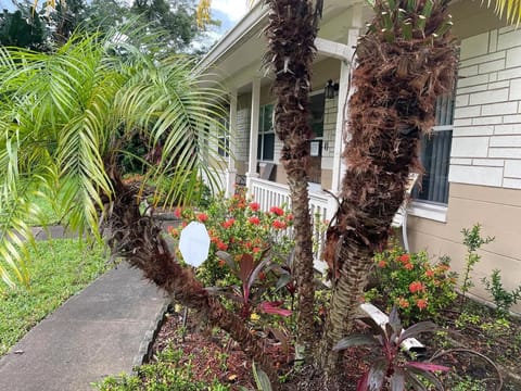 Centrally Located Pet-friendly peaceful home House in Pinellas Park