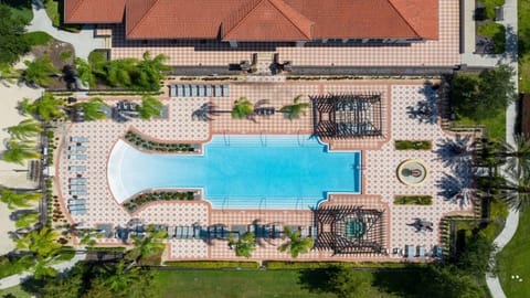 Bird's eye view, Swimming pool, Swimming pool, sunbed