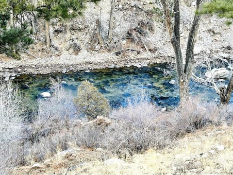 Mountain House on the River House in Park County