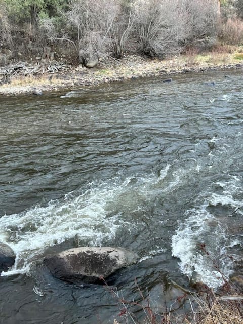 Glamorous RiverYurt Breakfast No Fees 10 Luxury tent in Park County