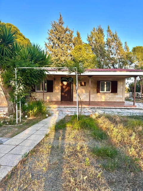 Property building, Garden, Other, Garden view