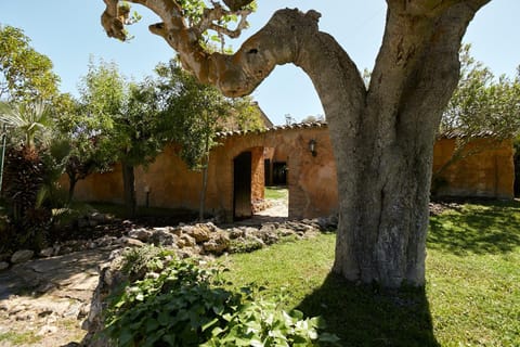 Spring, Day, Natural landscape, Garden view