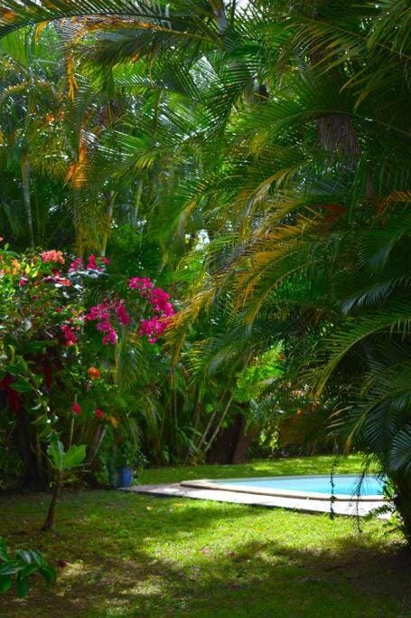 Garden, Garden view, Pool view