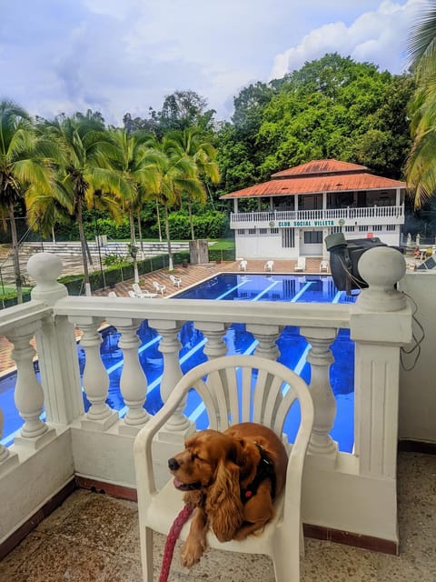 Day, Natural landscape, Pool view, Swimming pool