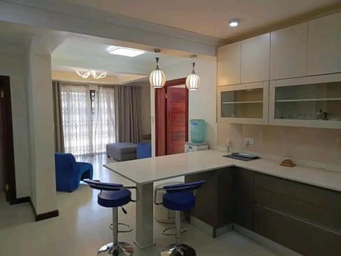 Kabulonga furnished Apartments Condo in Lusaka