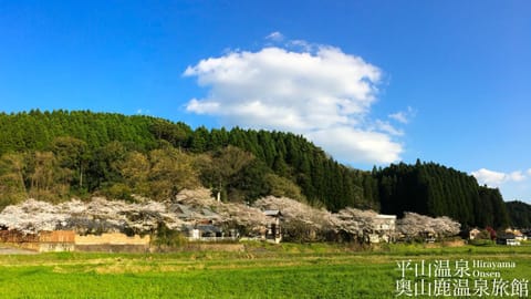 Spring, Day, Natural landscape, Mountain view