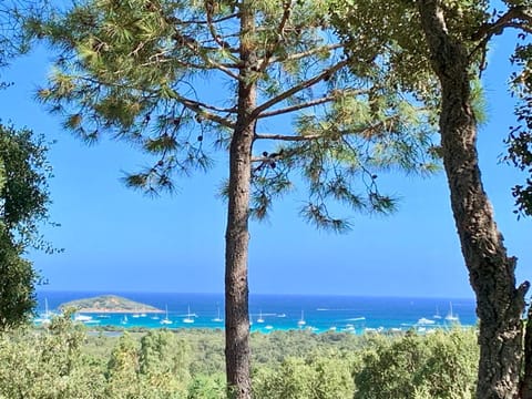 Natural landscape, Sea view