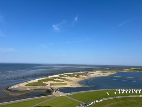 Beach, Lake view, Sea view