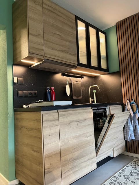 Kitchen or kitchenette, dishwasher, stove