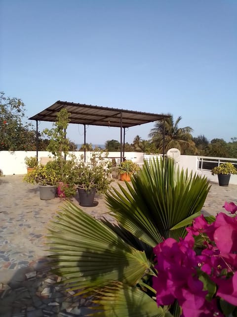 Balcony/Terrace, Garden view