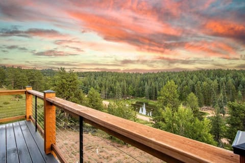 Mountain and Pond View, HotTub, Stars, Kid and Dog Friendly House in Colorado