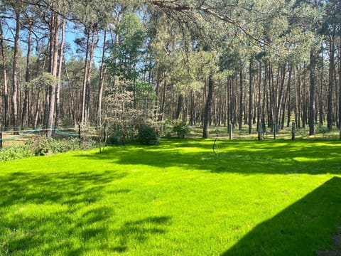 Garden, Garden, Garden view