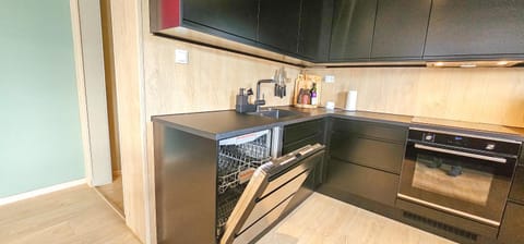 Kitchen or kitchenette, dishwasher, oven, stove