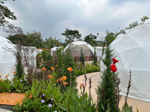 Bonfayer Garden Glamping Luxury tent in Batu