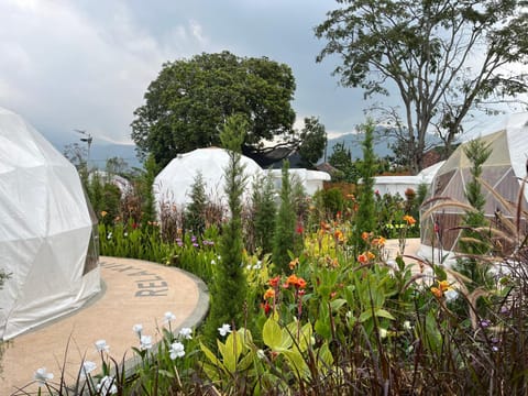 Bonfayer Garden Glamping Luxury tent in Batu