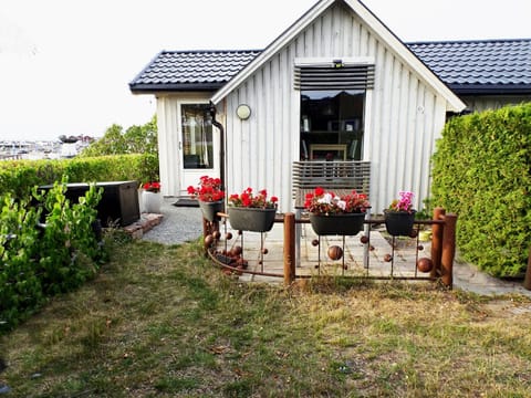 Property building, Patio, Garden, Garden view