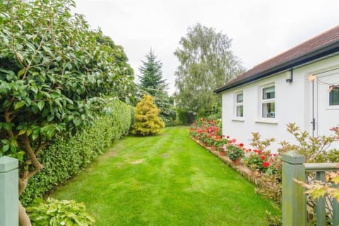 Garden Flat Apartment in Belfast