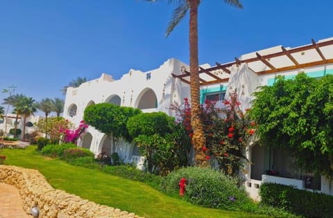 Giulia Suites Appartaments Apartment in Sharm El-Sheikh