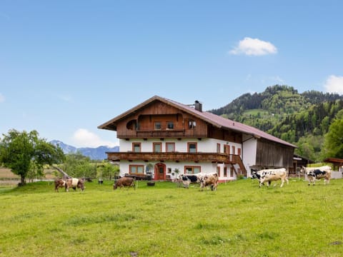 Property building, Summer