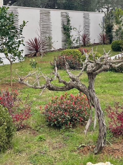 Garden, Garden, Garden view