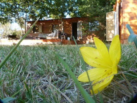 le chalet des sables Tienda de lujo in Le Porge