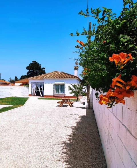 Property building, Garden, Garden view