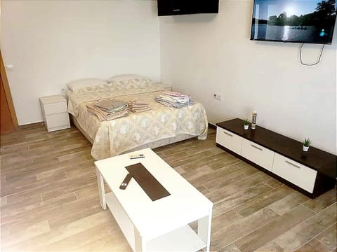 Bed, TV and multimedia, Living room, Photo of the whole room, Bedroom