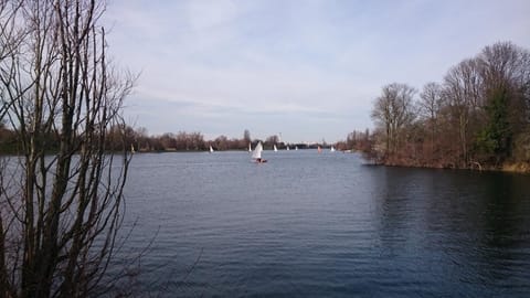 Natural landscape, Lake view