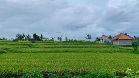 Private hideaway villa in the cultural heart of Bali House in Blahbatuh