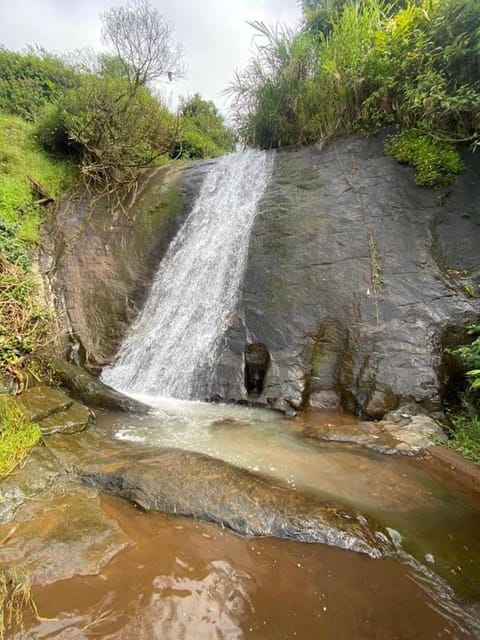 Natural landscape, River view