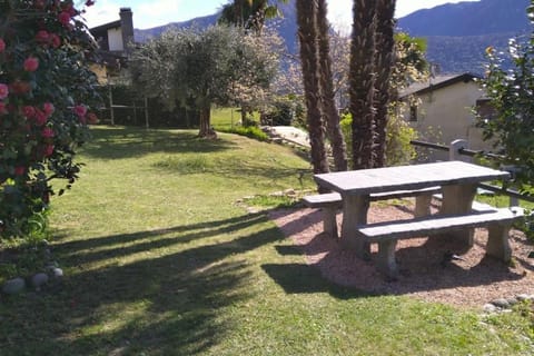 Garden, Balcony/Terrace, Garden view