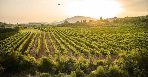 Spring, Day, Natural landscape, Mountain view, Sunset