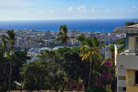 Très beau T3 à St Denis Condo in Saint-Denis