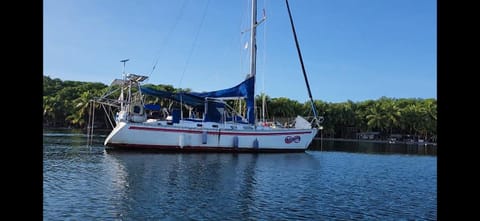 Sail boat in Bocas del Toro Docked boat in Bocas del Toro Province