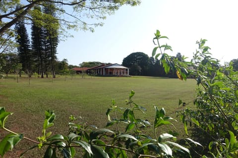 Garden, Garden view