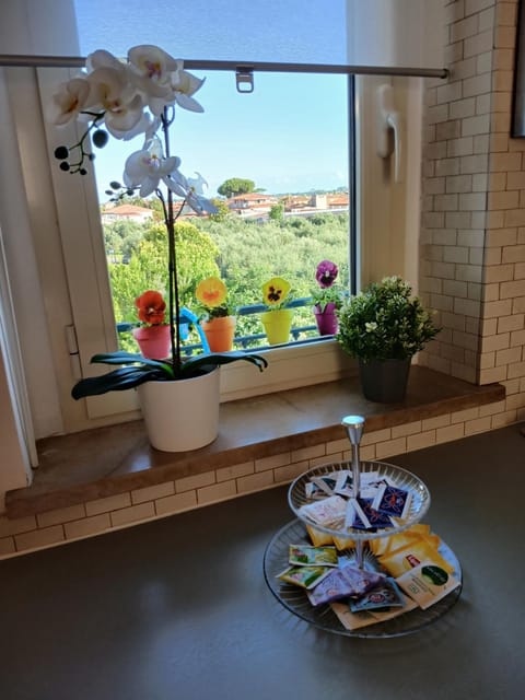 Voglia di mare Versilia Apartment in Forte dei Marmi