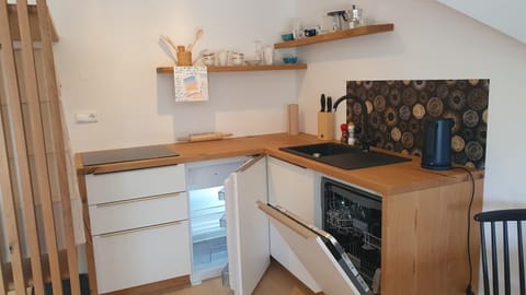 Kitchen or kitchenette, dishwasher, stove