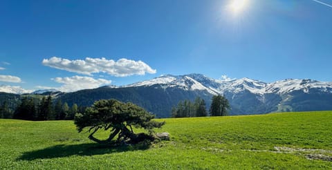 Spring, Natural landscape, Hiking, Mountain view