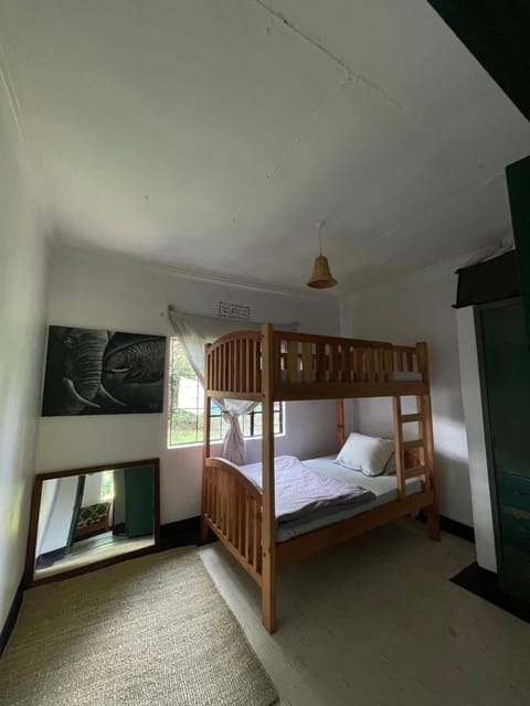 Photo of the whole room, Bedroom, bunk bed