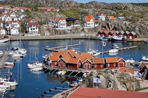 Barnvänligt stort hus med massa att göra för barn med spring i benen Villa in Västra Götaland County