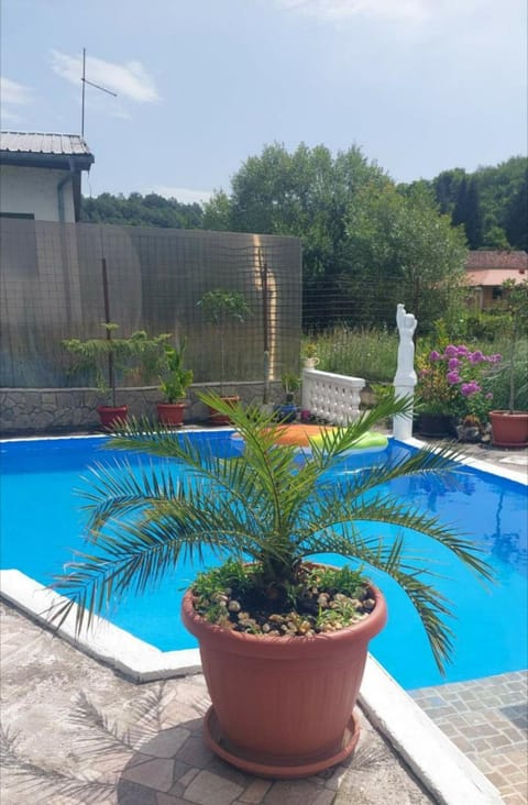 Day, Garden, Garden view, Pool view, Swimming pool