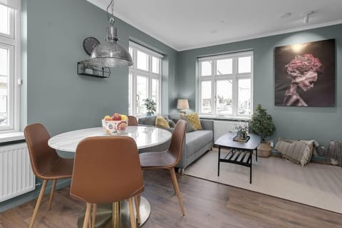 Charming apartment in Selfoss center Apartamento in Selfoss